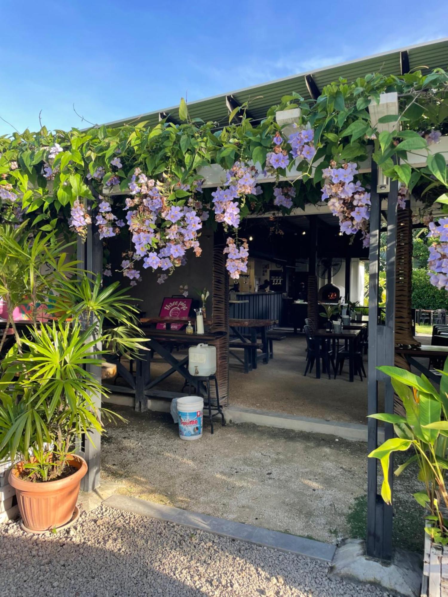 Nasama Resort Port-Vila Extérieur photo